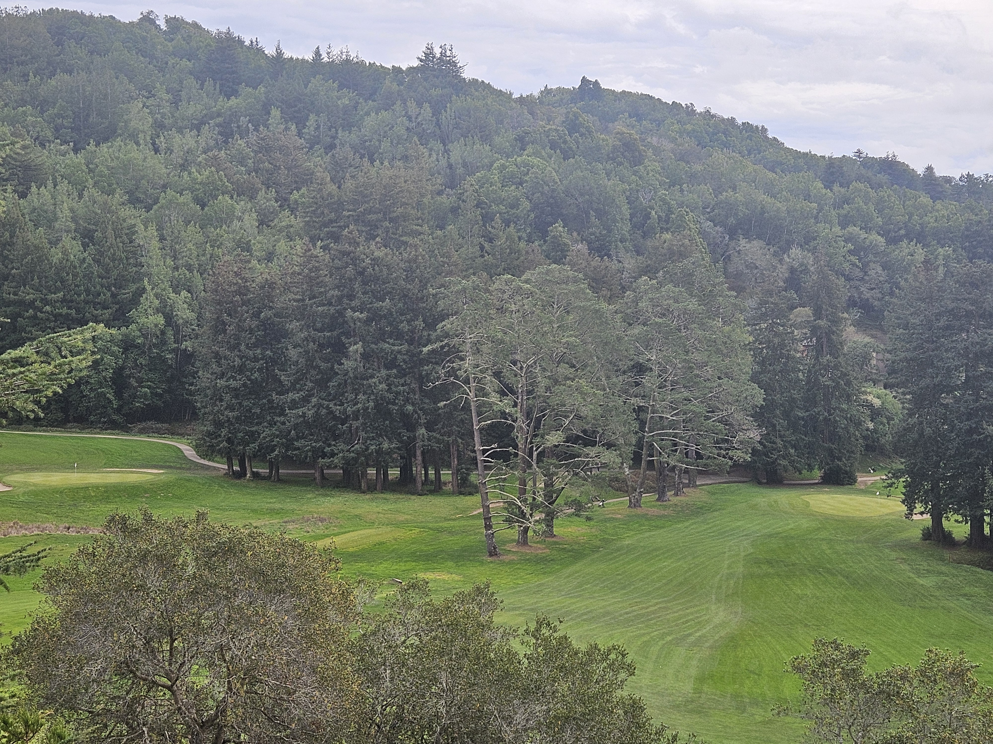 Mill Valley Golf Course hole 5 aerial